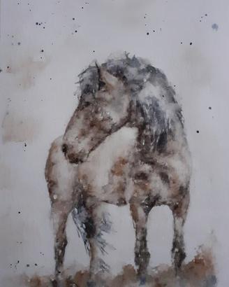 Quadro dipinto acquerello cavallo pony
