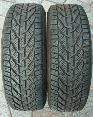 gomme invernali 195 60 R15 riken snow
