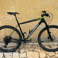 Cannondale fai carbon