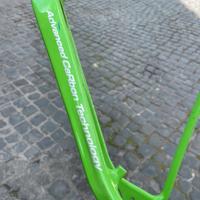 Telaio bicicletta pro in carbonio della Mieli