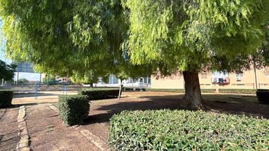 Appartamento in zona Pizzuta