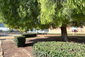 Appartamento in zona Pizzuta