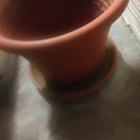 vaso 40 cm rotondo 