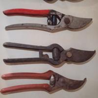 N.5 Forbici potatura e giardinaggio