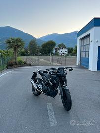 MT 125 2024