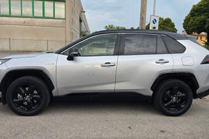 Toyota RAV4 Business 