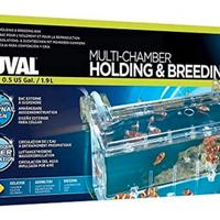 Vaschetta parto / accrescimento FLUVAL – Acquario