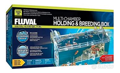 Vaschetta parto / accrescimento FLUVAL – Acquario