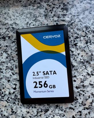 SSD Cervoz 256GB 2.5" SATA – disco industriale