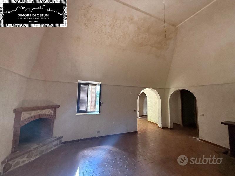 CASALE IN PIETRA con TERRENO E PINETA SECOLARE - Altro
