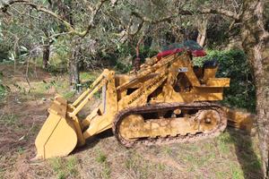 Pala cingolata Massey Ferguson MF 200