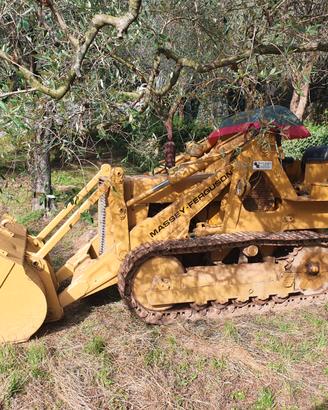 Pala cingolata Massey Ferguson MF 200