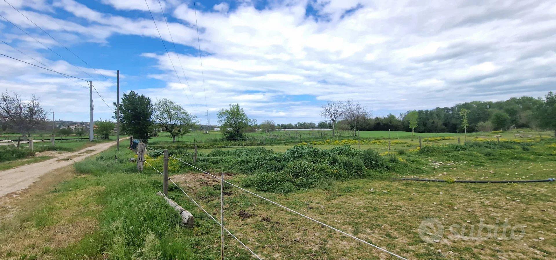 TERRENO AGRICOLO CONGIUNTI - Vista 4