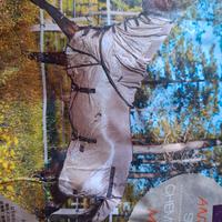 Coperta anti mosche cavallo 