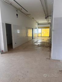 Locale commerciale 150mq pineto