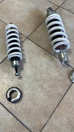 Ammortizzatori ribassati  bmw R1200GS esa WP