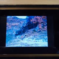 Cornice digitale T.photo 710 Transcend