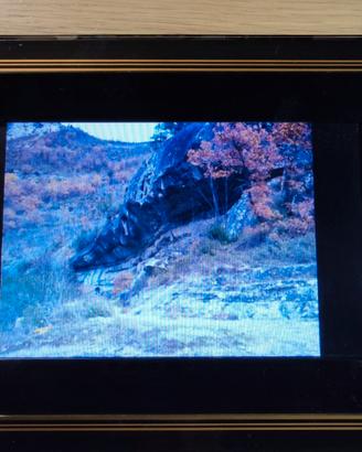 Cornice digitale T.photo 710 Transcend