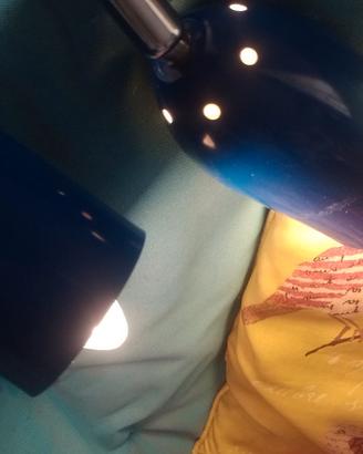 Coppia di lampade a pinza blu