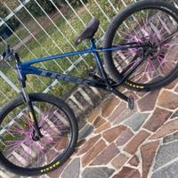 bicicletta  ruota 29