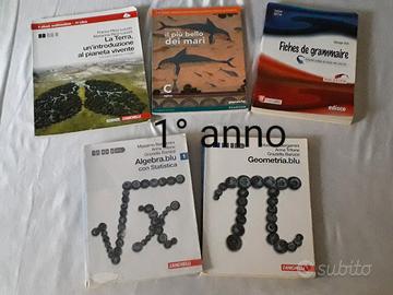libri scolastici primo 1° liceo