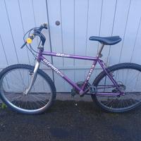 Mountain bike 26 pollici