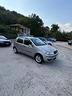 fiat-punto-1-2-5-porte-dynamic