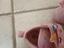 Immagine 2
