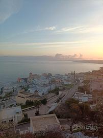 Aiutocuoco /lavapiatti con esperienza