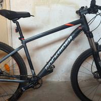 Mtb rockrider