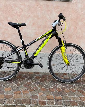 Mountanbike Adriatica Rock 24 pollici