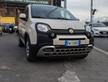 Fiat Panda 1.3 MJT S&S Trekking