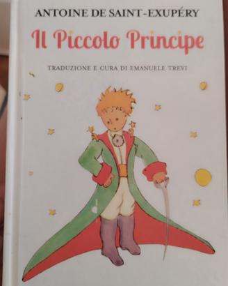 libro il piccolo principe 