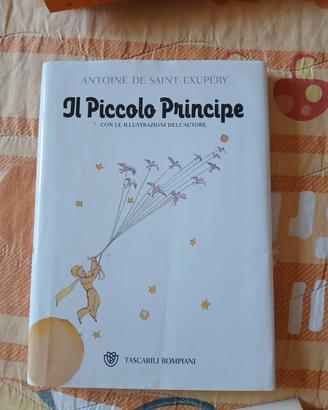 libro il piccolo principe  ,come nuovo 