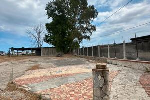 TERRENO PER DEPOSITO BARCHE