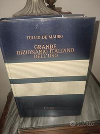 IL DE MAURO