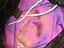 Immagine 5