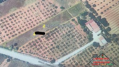 Terreno Contrada Carrozza (Rif.1717)