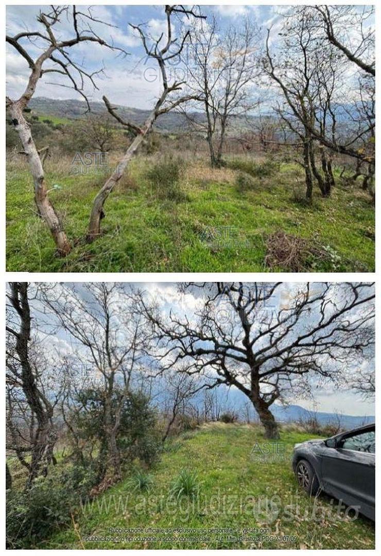 Terreno Agricolo Buccino [A4329597] - Vista 3
