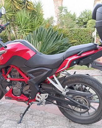 MOTO BENELLI 251 ABS