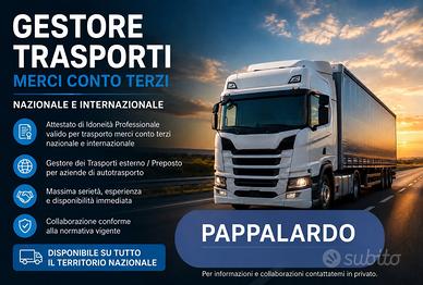 Gestore dei trasporti merc internazionale/Preposto