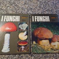 I documentari i funghi meraviglie della natura 1ed