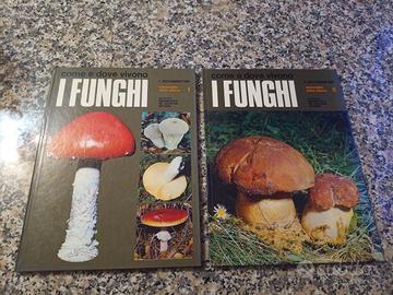 I documentari i funghi meraviglie della natura 1ed