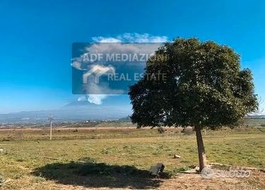 Terreno Agricolo Con Uliveto