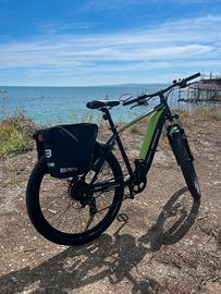 E-Mtb Argento Performance 29