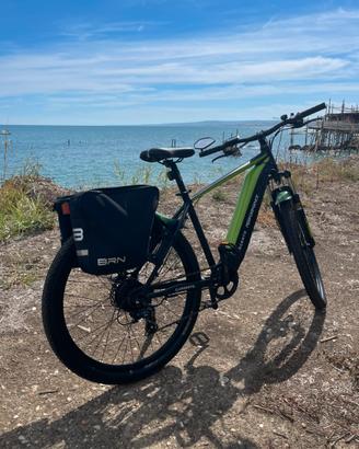 E-Mtb Argento Performance 29