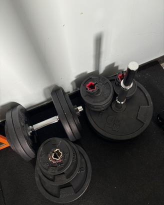 Kit Manubri e dischi decathlon