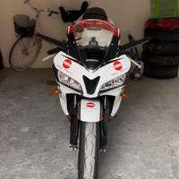 Honda CBR 600 RR