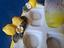 Immagine 5
