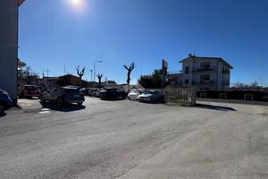 LABORATORIO A LANUVIO